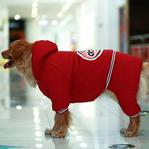 Warm Winter Wear for Your Furry Friends