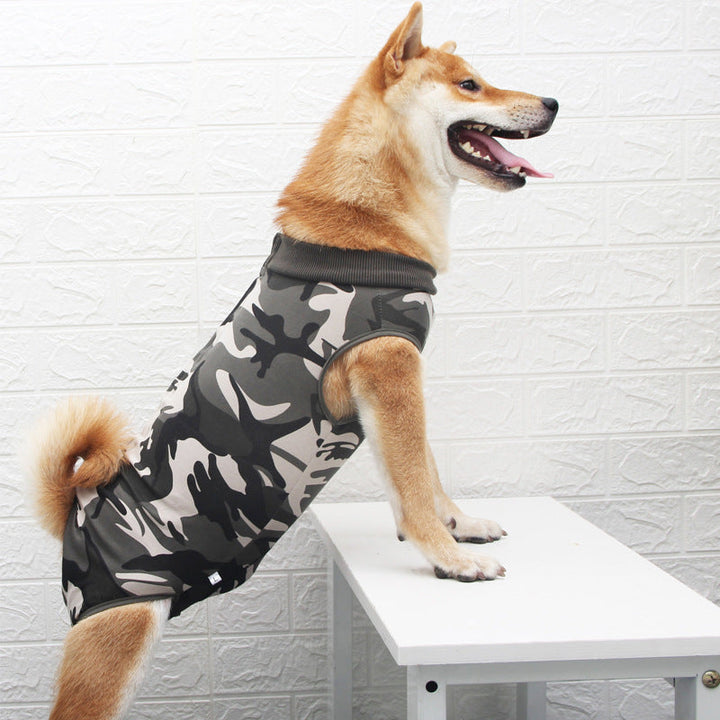 Unleash Your Pet's Style with Our Multicolor Outfit!