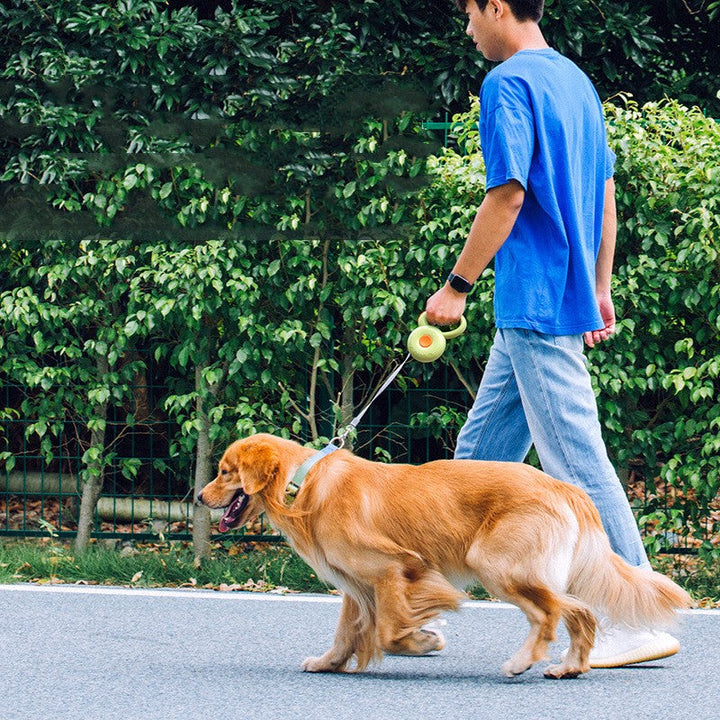 Unleash Adventure with the Pet Reflective Retractable Leash Rope Set