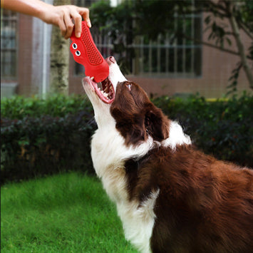 Why Your Pet Deserves the Squeaky Rubber Pet Teething Chew Toy
