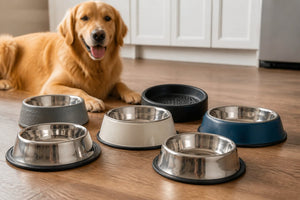 Best Non-Slip Feeding Bowls for Dogs