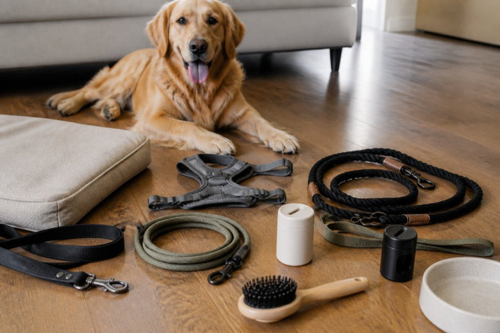 Best Wild One Alternatives for Pet Owners