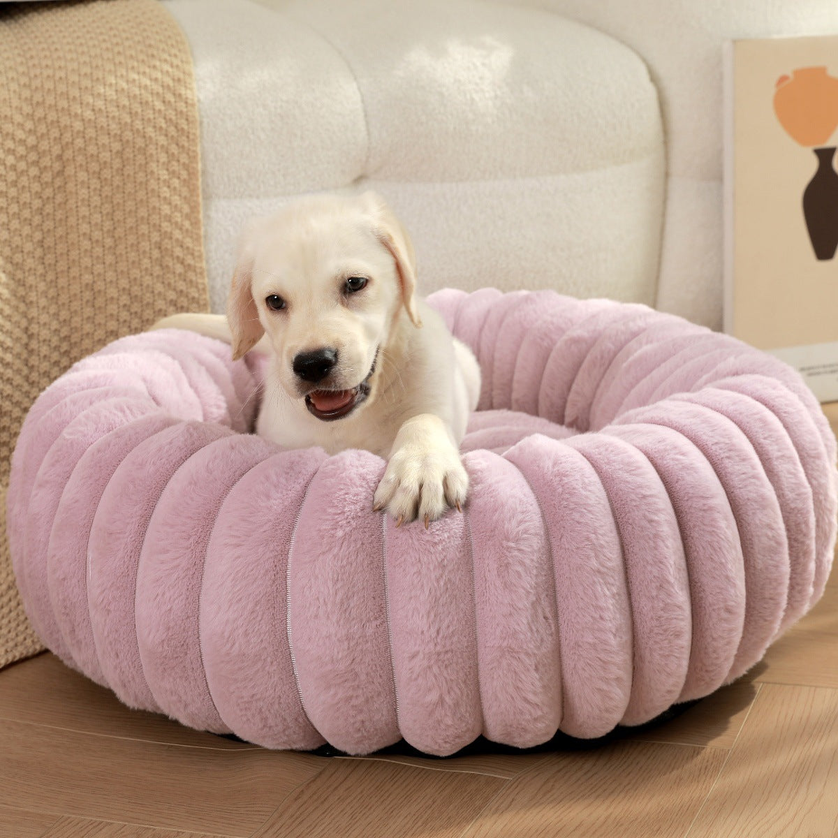 The Ultimate Comfort for Your Furry Friends