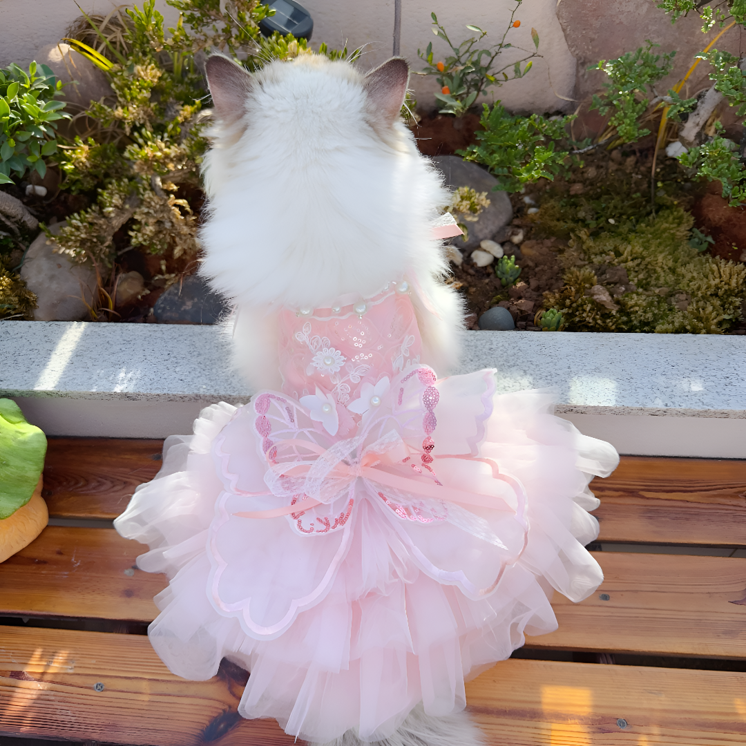 Stylish Pet Apparel for Every Season