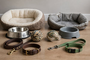 Premium vs Budget Pet Supply Quality: What Matters